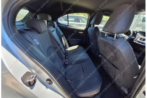 2021 Lexus UX 250h, Benzinas / Elektra